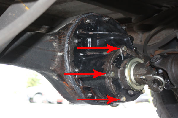 Pinion Support